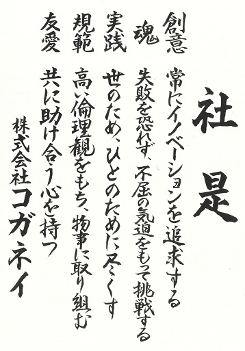 새로운 사시